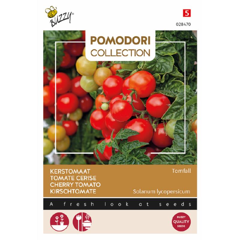 Buzzy Pomodori Kerstomaat Tomfall