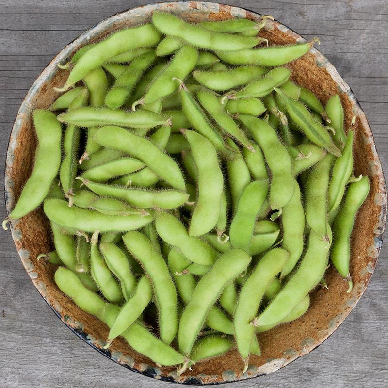 Bolster Sojaboon Edamame Zaden Soda Green
