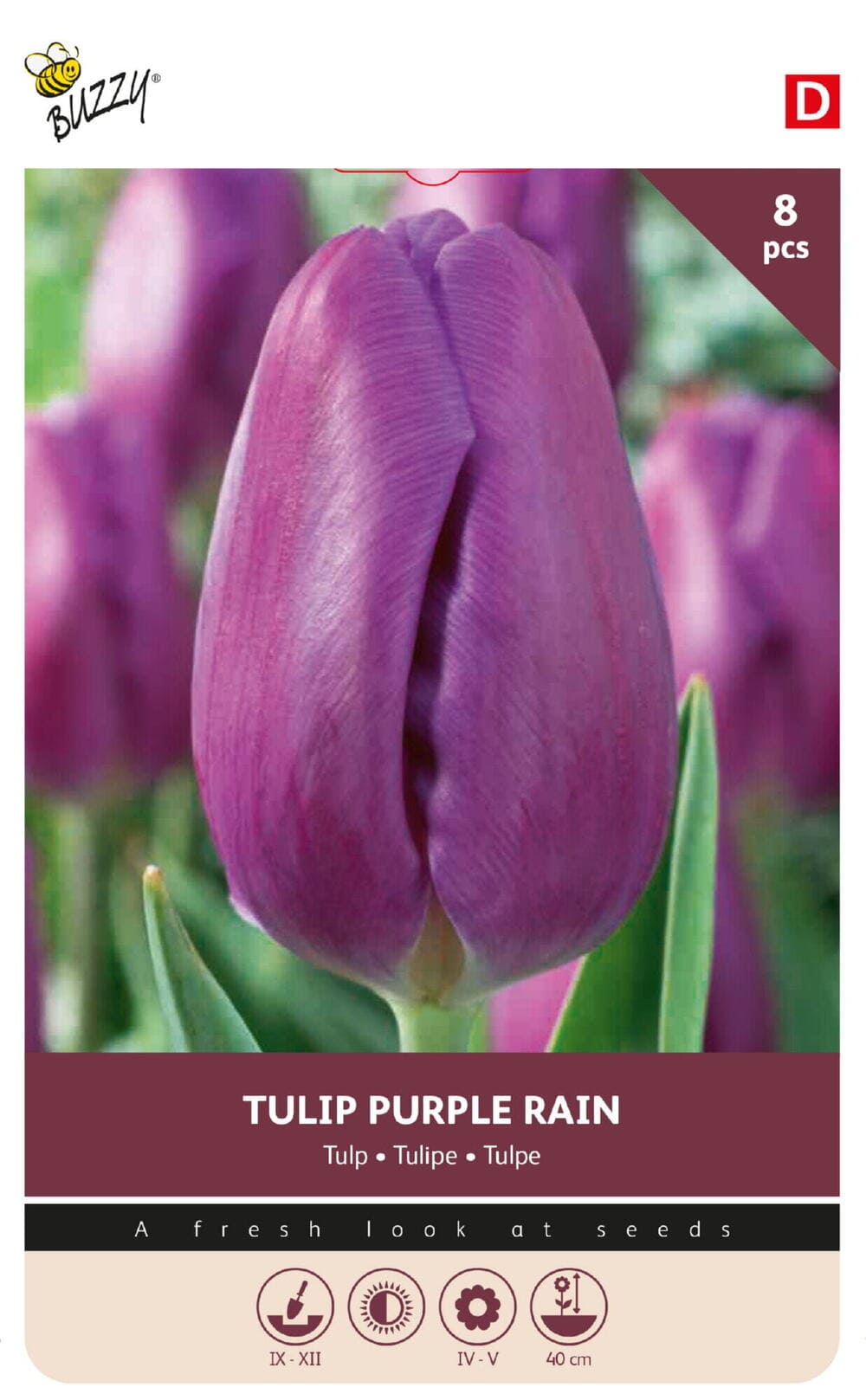 Tulpenbollen Purple Rain 8st.