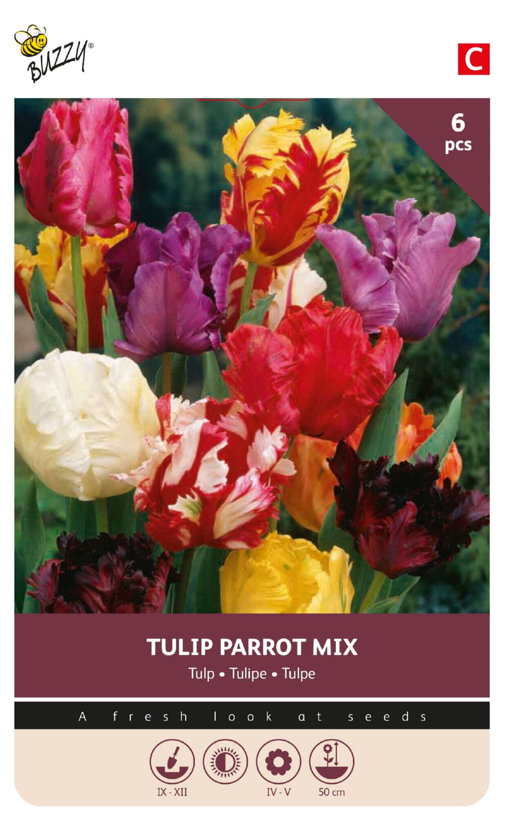 Tulpenbollen Parrot Mix - Parkiet 6 st.