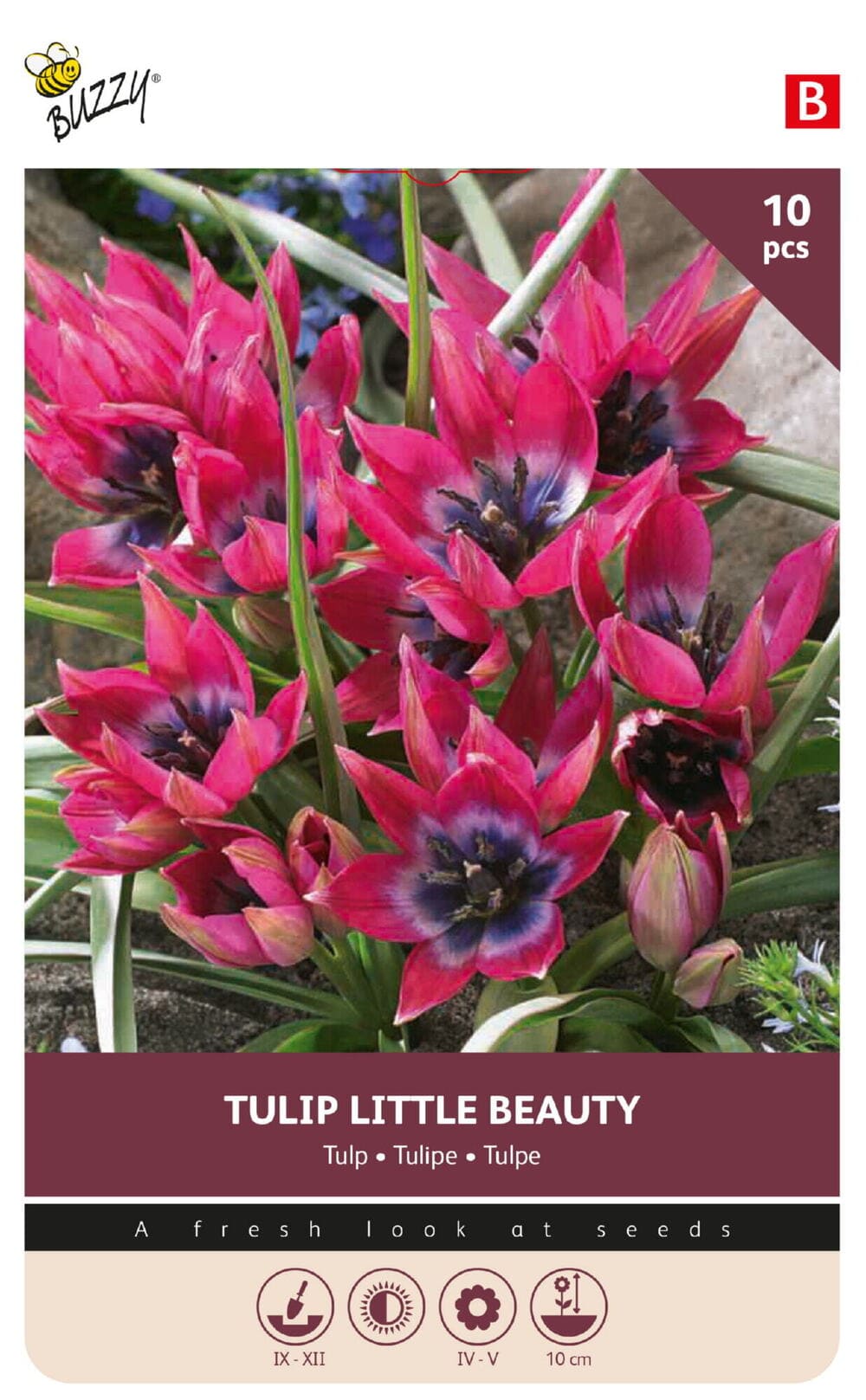 Tulpenbollen Little Beauty 10st.