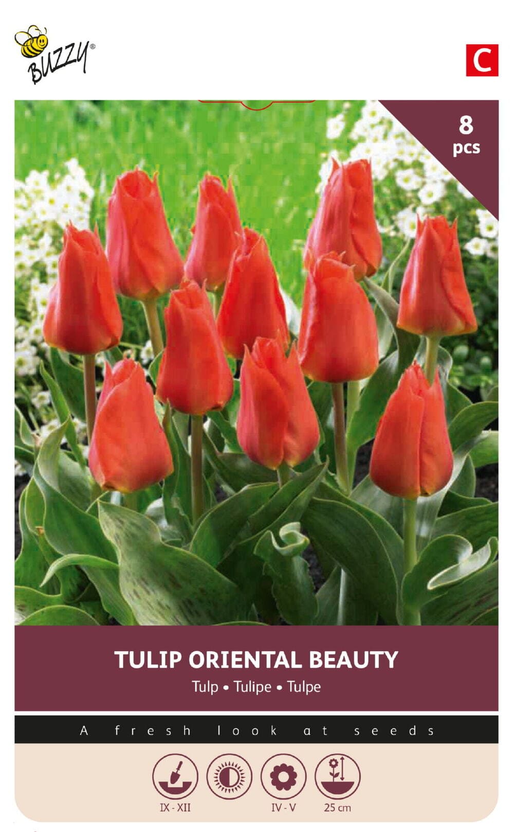 Tulpenbollen Oriental Beauty 8st.