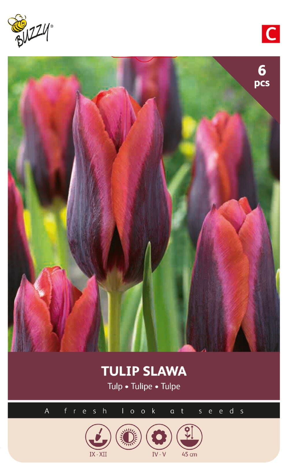 Tulpenbollen Slawa 6st.