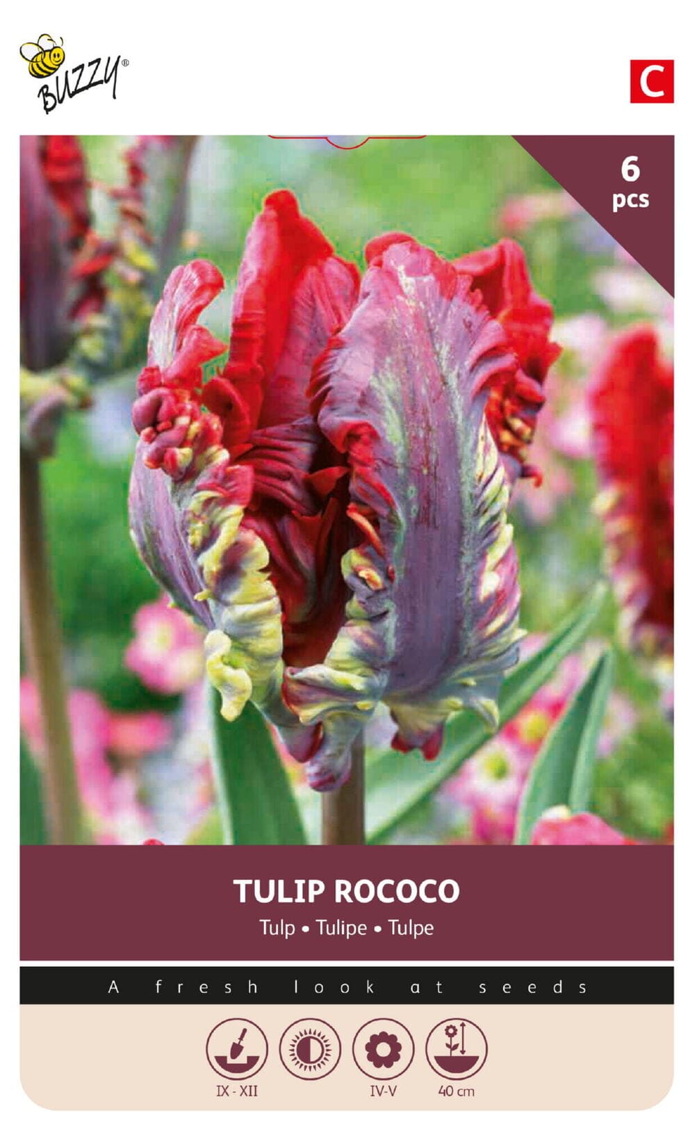 Tulpenbollen Rococo 6st.