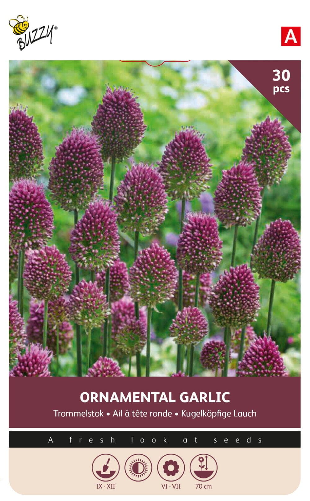 Allium Trommelstok Sierui bollen 5/6 30st