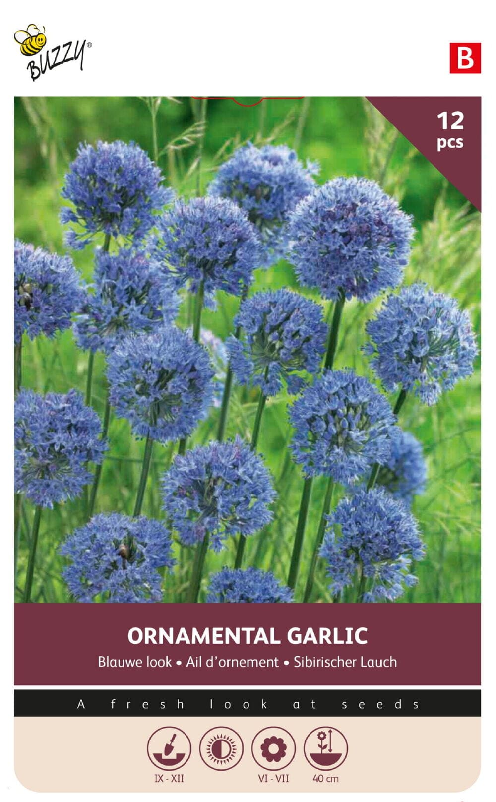 Allium Blauwe Look Sierui bollen 5/6 12st