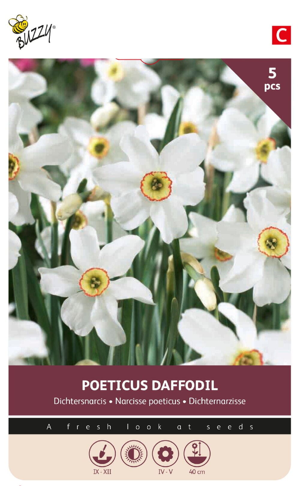 Dichters Narcissen bollen Poeticus Daffodil