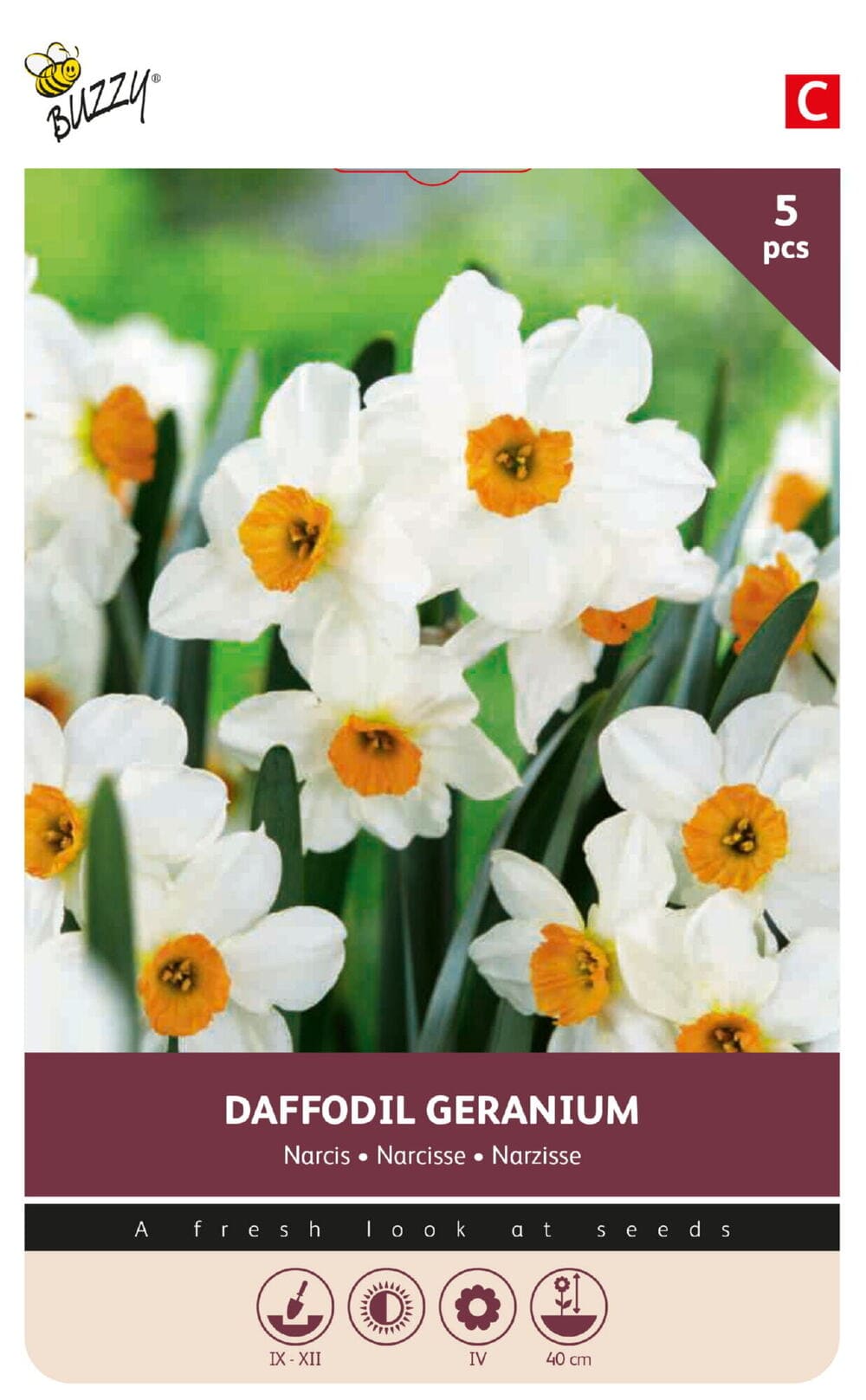 Narcissen bollen Daffodil Geranium