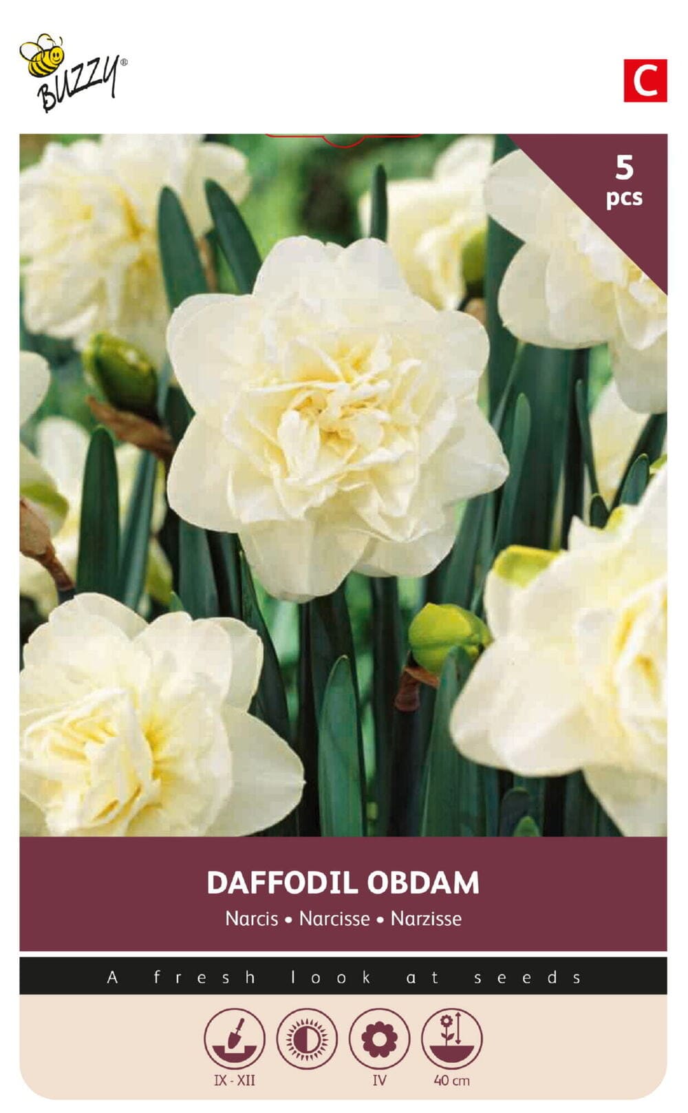 Narcissen bollen Obdam