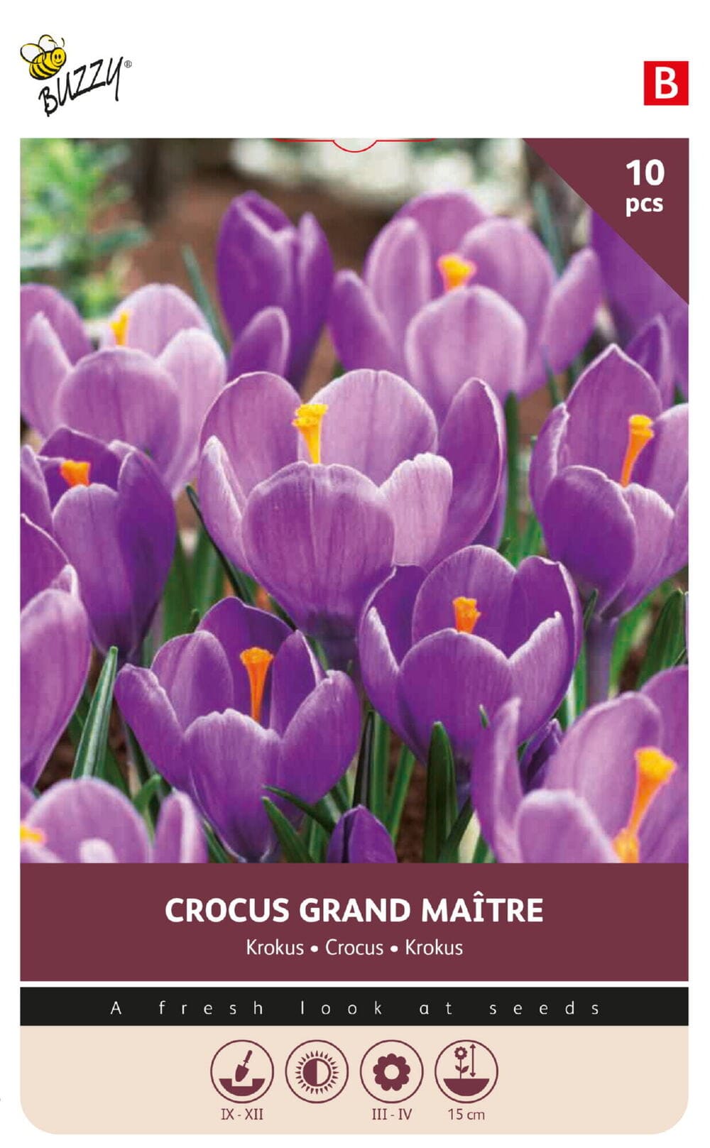 Krokus bollen Grand Maitre