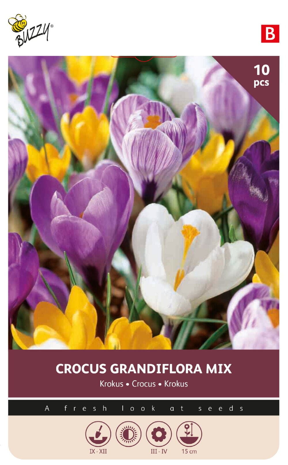Krokus bollen Grandiflora Mix