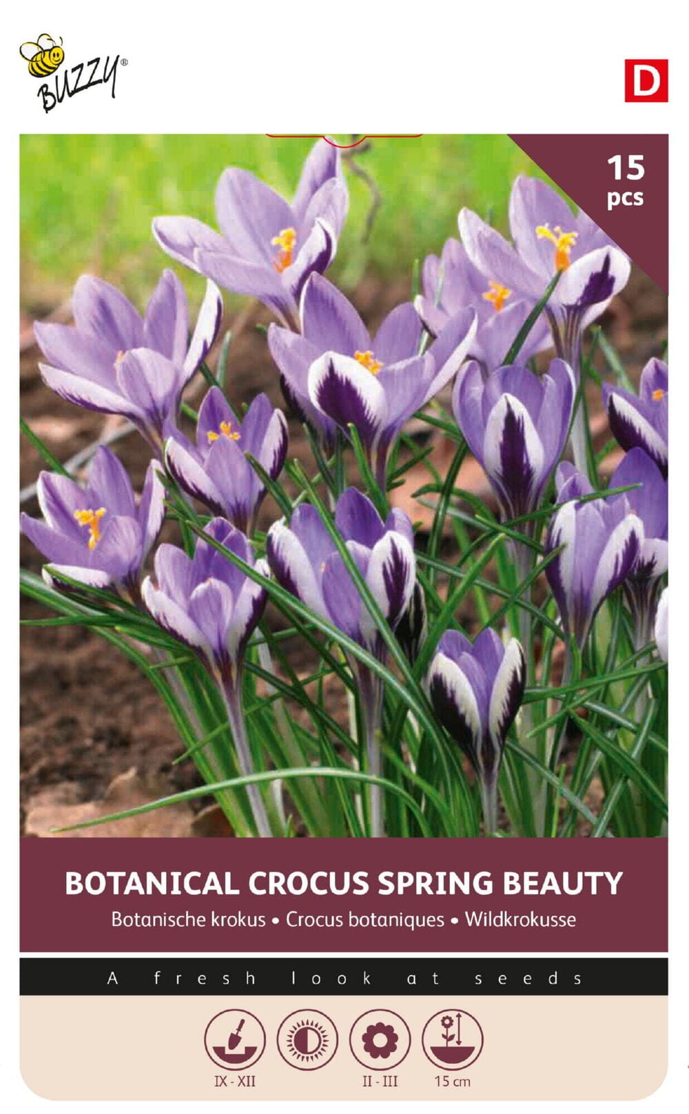 Botanische Krokus Bollen Spring Beauty