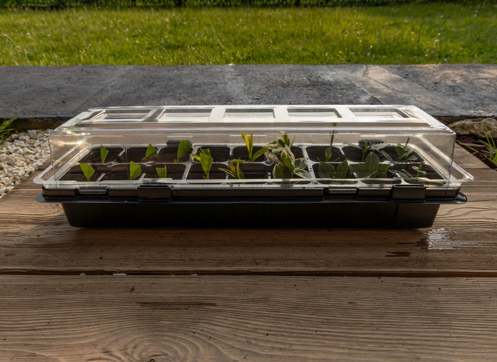 Kweekkasjes & Potten