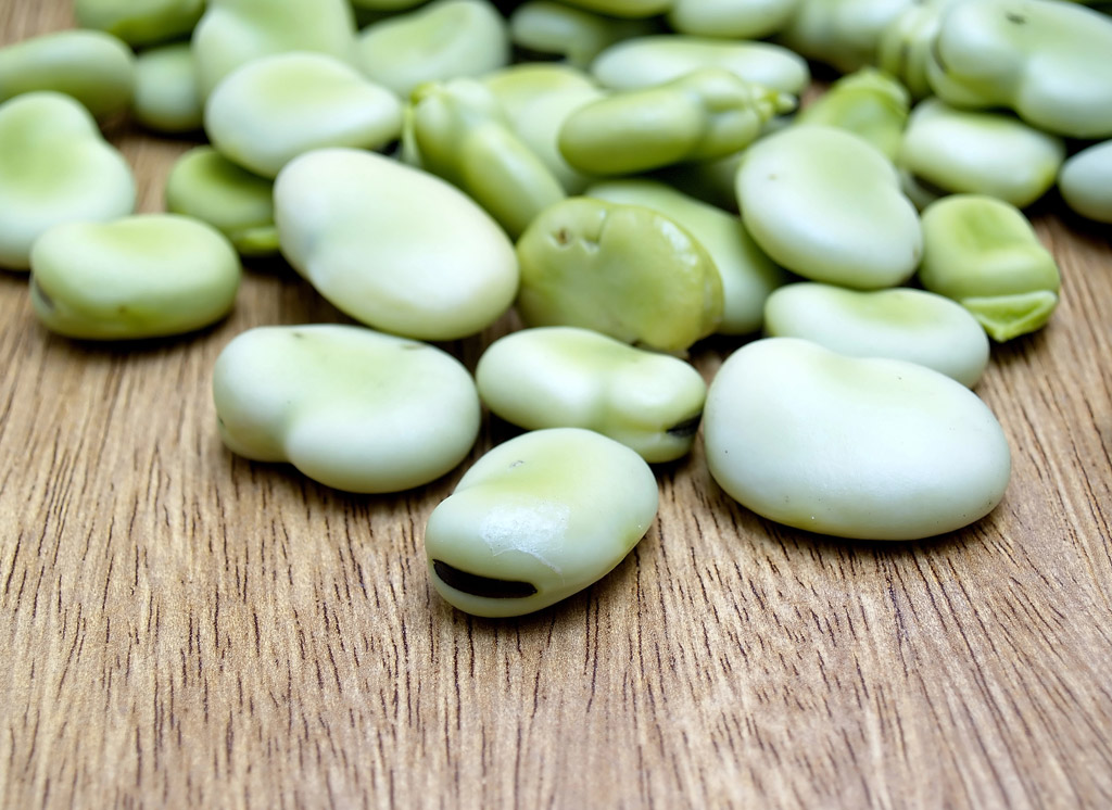 Bonen Zaden en Peulvruchten