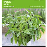 Buzzy Basilicum Zaden Siam Queen