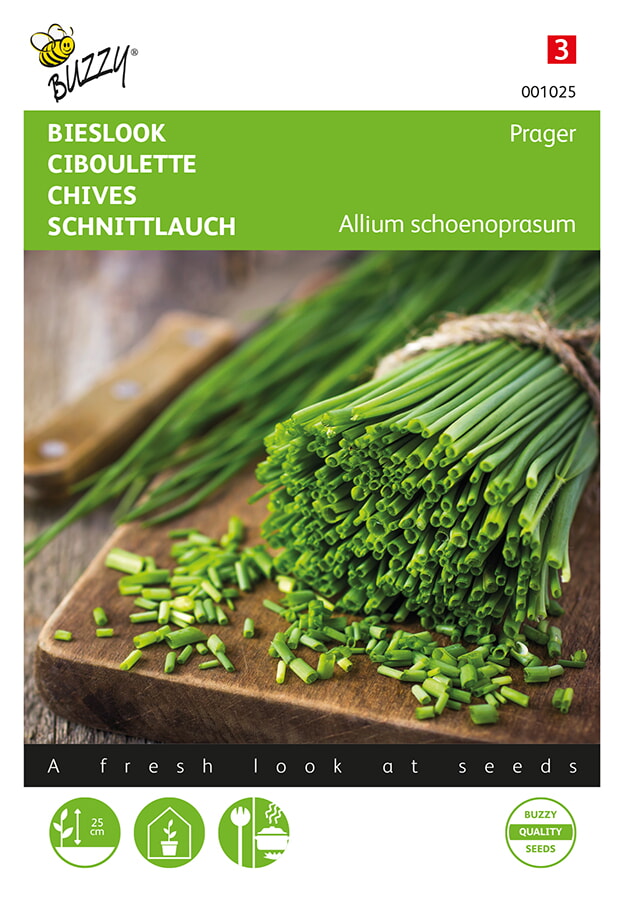 Buzzy Bielsook Zaden Prager