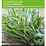 Buzzy Russische Dragon Zaden