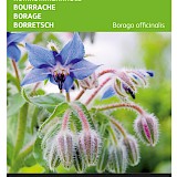 Buzzy Komkommerkruid Zaden