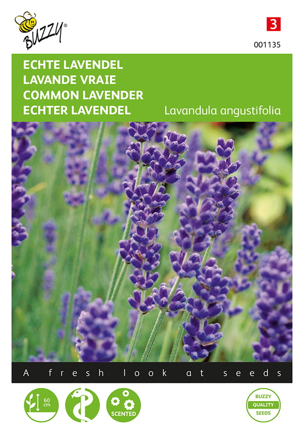 Buzzy Echte Lavendel Zaden