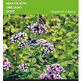 Buzzy Marjolein Zaden