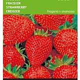 Buzzy Aardbei Zaden Grandian F1