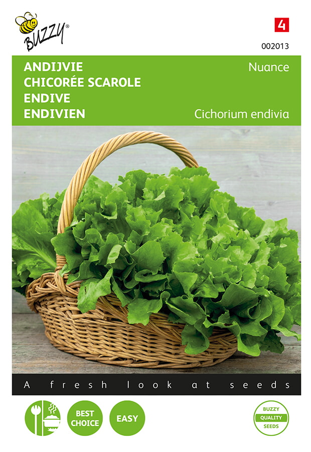 Buzzy Andijvie Zaden Nuance