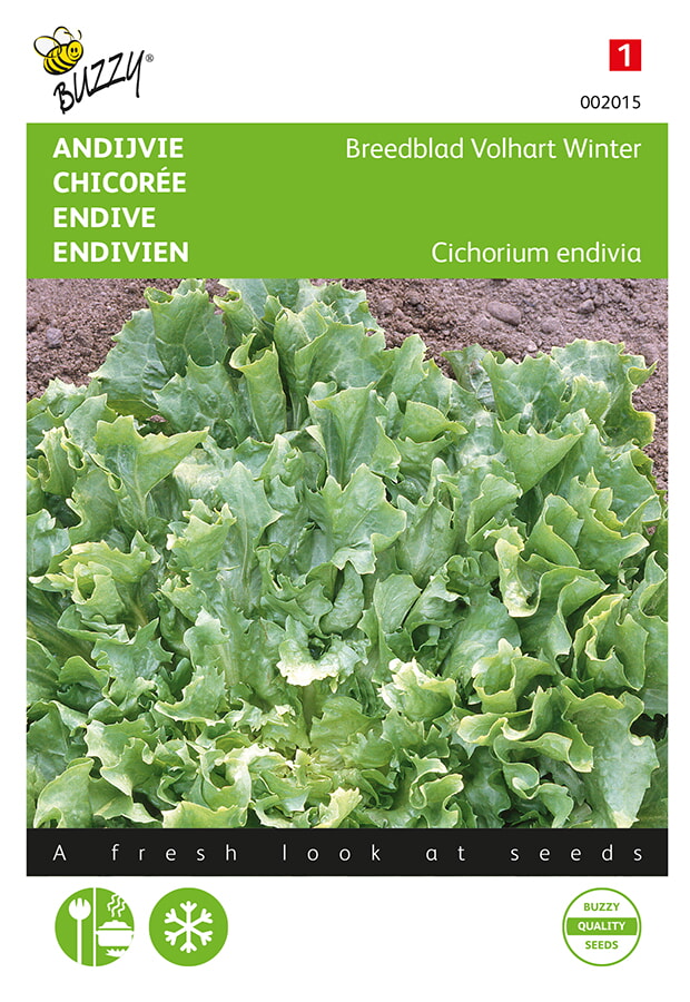 Buzzy Andijvie Zaden Breedblad Volhart Winter