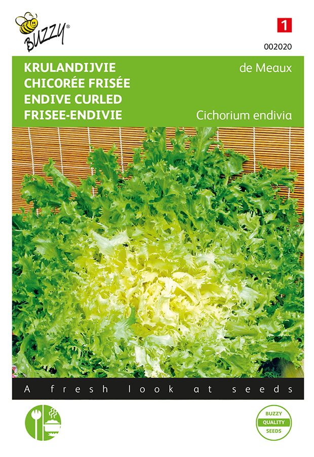 Buzzy Krulandijvie Zaden de Meaux