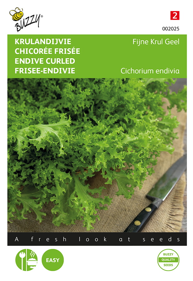 Buzzy Krulandijvie Zaden Fijne Krul Geel