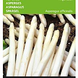 Buzzy Asperge Zaden Argenteuil