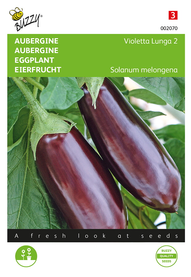 Buzzy Aubergine Zaden Violetta Lunga 2