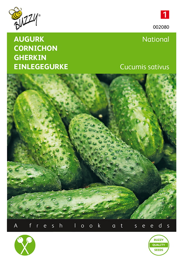 Buzzy Augurk Zaden National