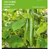 Buzzy Komkommer Zaden Laureen F1