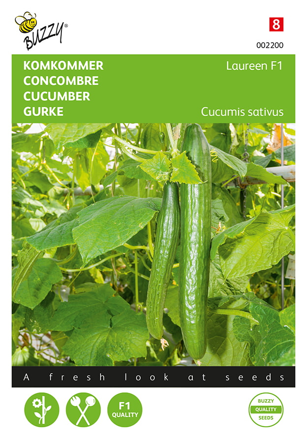 Buzzy Komkommer Zaden Laureen F1