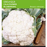 Buzzy Bloemkool Zaden Alpha 7