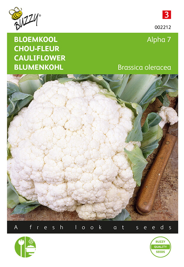 Buzzy Bloemkool Zaden Alpha 7
