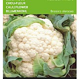 Buzzy Bloemkool Zaden Walcheren Winter 2