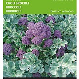 Buzzy Broccoli Zaden Summer Purple
