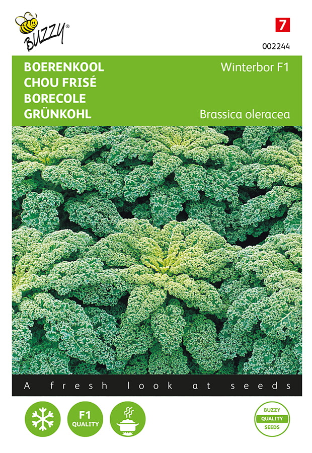 Buzzy Boerenkool Zaden Winterbor F1