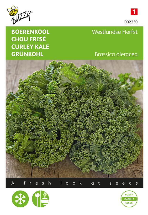Buzzy Boerenkool Zaden Westlandse Herfst