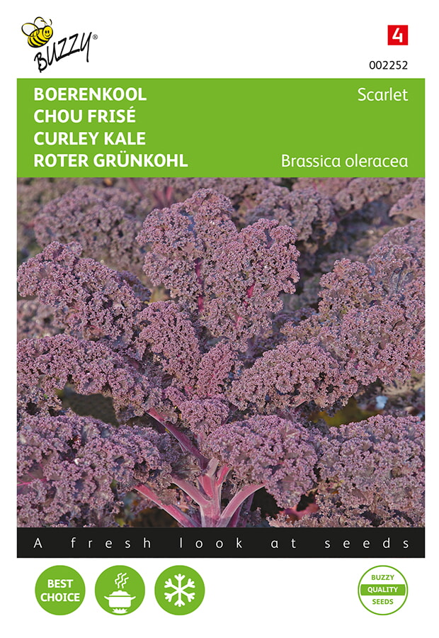 Buzzy Boerenkool Zaden Scarlet