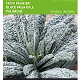 Buzzy Palmkool Zaden Nero di Toscana