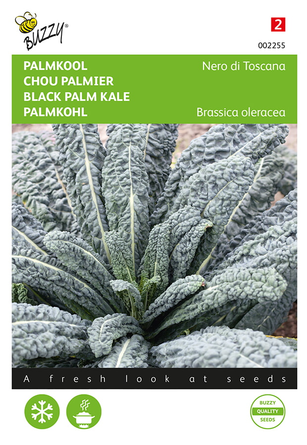 Buzzy Palmkool Zaden Nero di Toscana