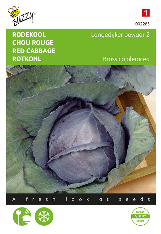 Buzzy Rode Kool Zaden Langedijker Bewaar 2
