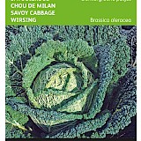 Buzzy Savooiekool Zaden Donkergroene Putjes