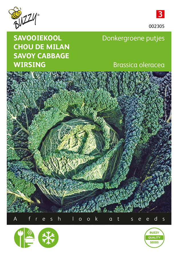 Buzzy Savooiekool Zaden Donkergroene Putjes