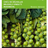 Buzzy Spruitkool Zaden Groninger