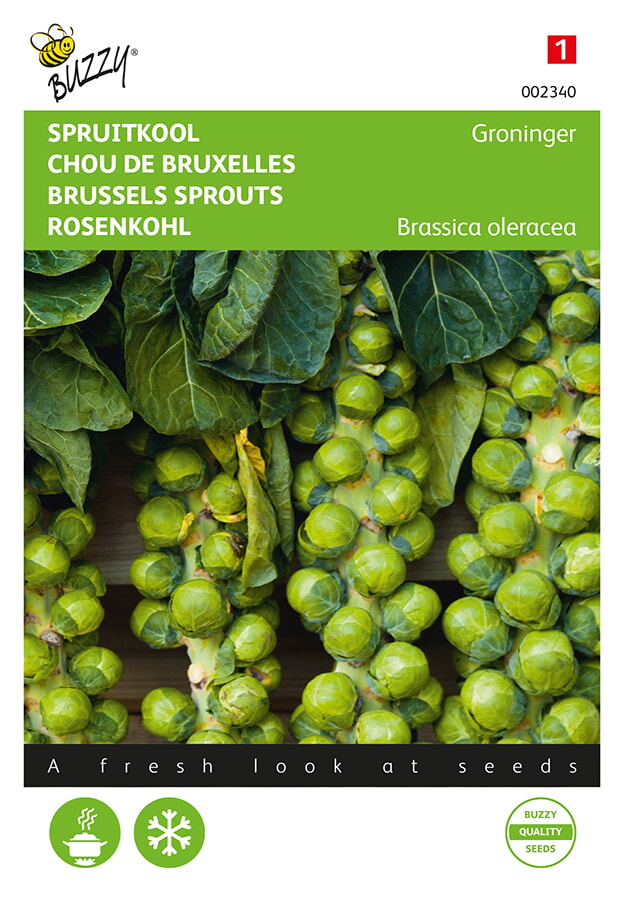 Buzzy Spruitkool Zaden Groninger