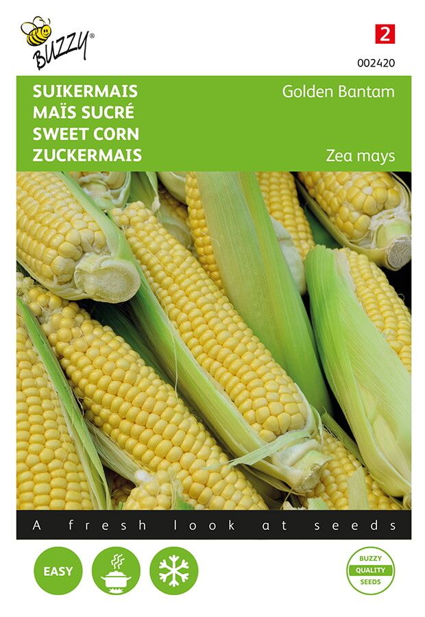 Buzzy Suikermais Zaden Golden Bantam