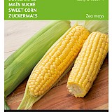Buzzy Suikermais Zaden Tasty Sweet F1